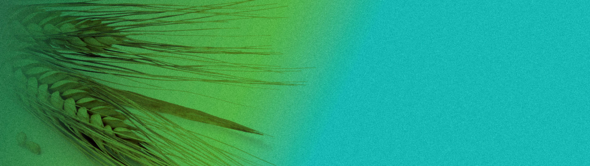 football results today